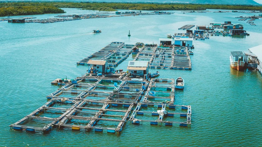 Khám Phá Hòn Đảo Long Sơn - Viên Ngọc Xanh Của Vũng Tàu
