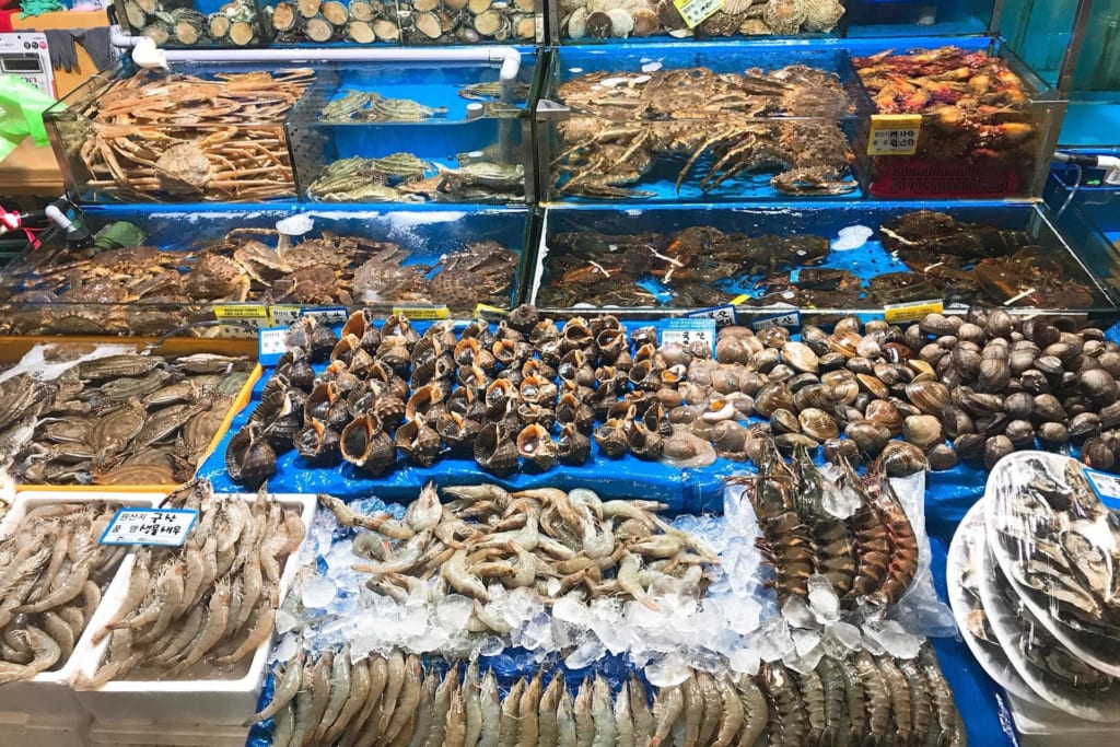 Khu Du Lịch Hồ Tràm: Điểm Nghỉ Dưỡng Hấp Dẫn