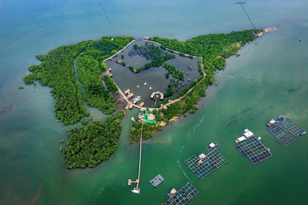 Kinh Nghiệm Du Lịch Đảo Ngọc Vũng Tàu Lí Tưởng