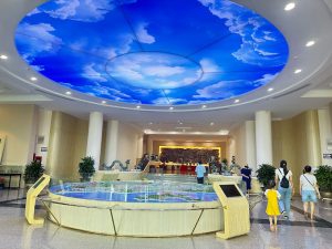 Có Nên Tham Quan Bảo Tàng Bà Rịa Vũng Tàu?