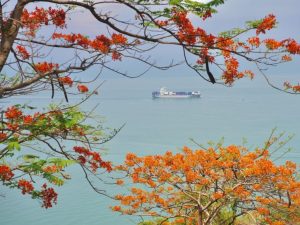 Khám Phá Quảng Trường Vũng Tàu - Điểm Đón Gió Cực Chill