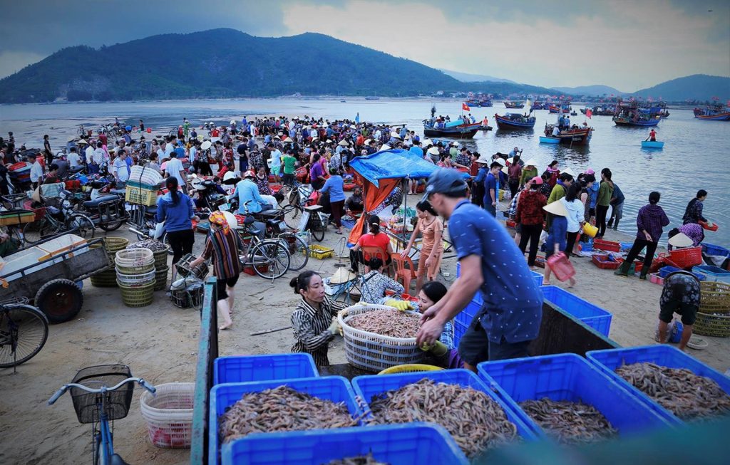 Cách Đi Du Lịch Biển Hồ Tràm Tự Túc, Tiết Kiệm Năm 2024
