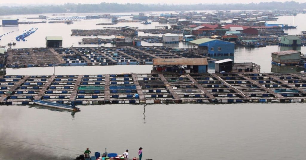 Cách Đi Du Lịch Biển Hồ Tràm Tự Túc, Tiết Kiệm Năm 2024