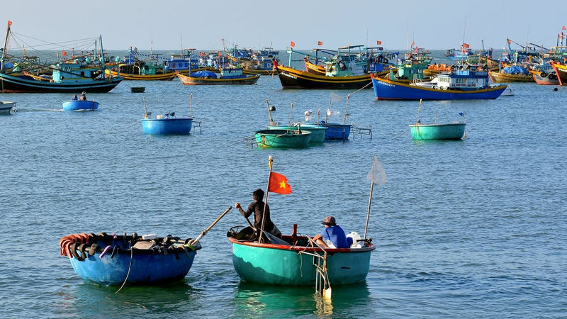 Khám phá phước hải bà rịa vũng tàu - cảm nang du lịch chi tiết