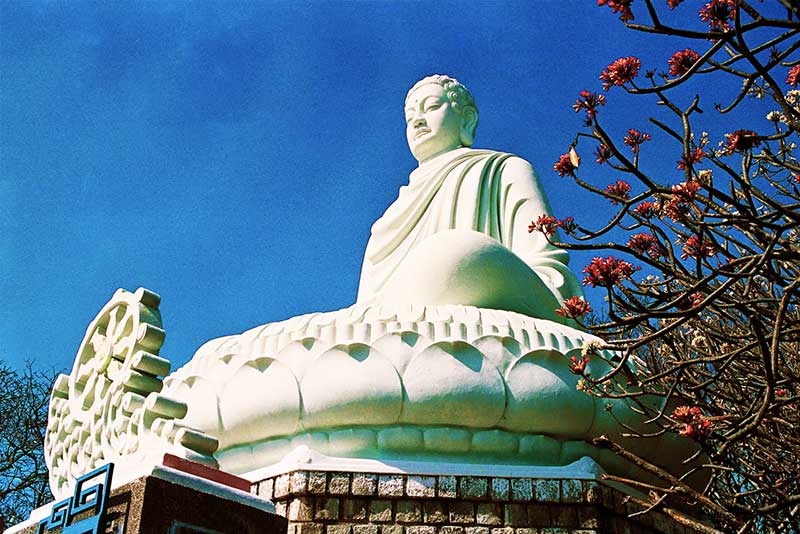 Top 15 Địa Điểm Cảnh Đẹp Vũng Tàu