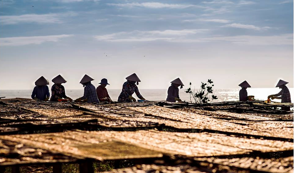 Trải Nghiệm Chốn Bình Yên Làng Chài Phước Hải
