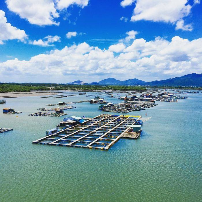 Đảo Gò Găng - Khám Phá Hòn Đảo Hoang Sơ Đầy Thú Vị Tại Vũng Tàu