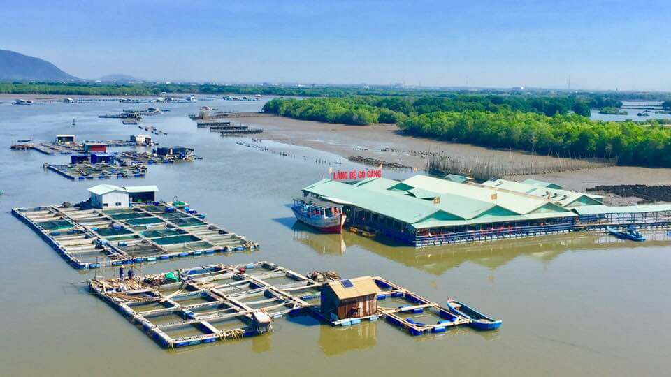 Đảo Gò Găng - Khám Phá Hòn Đảo Hoang Sơ Đầy Thú Vị Tại Vũng Tàu