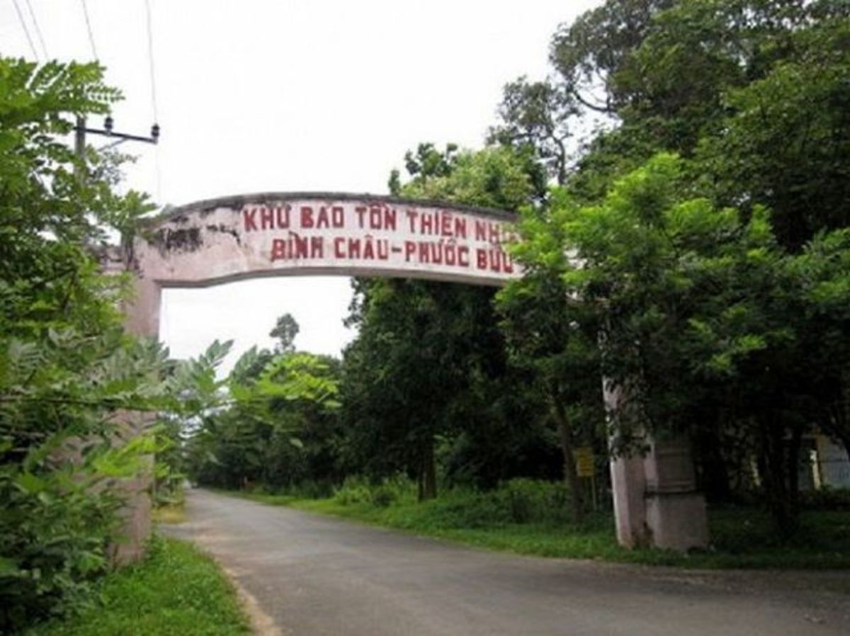 Kinh Nghiệm Du Lịch Bãi Biển Suối Ồ - Bãi Biển Vừa Mặn Vừa Ngọt